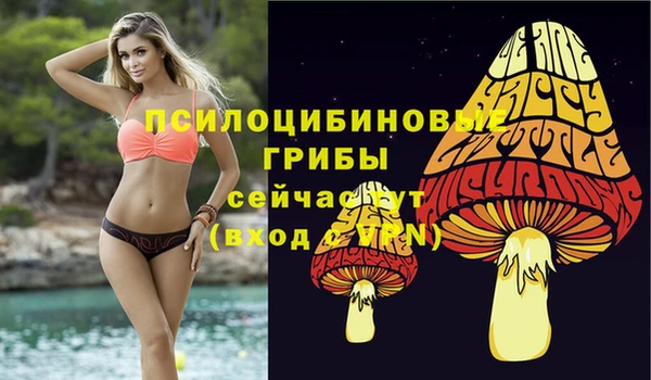 не бодяженный Краснослободск