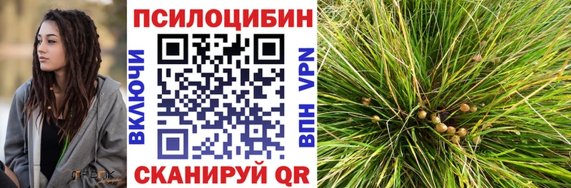 Купить закладки  Лагань  Псилоцибиновые грибы мухоморы 