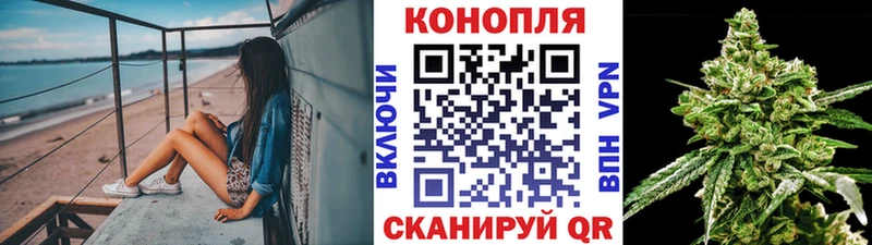 Купить закладки  Лагань  МАРИХУАНА Amnesia 